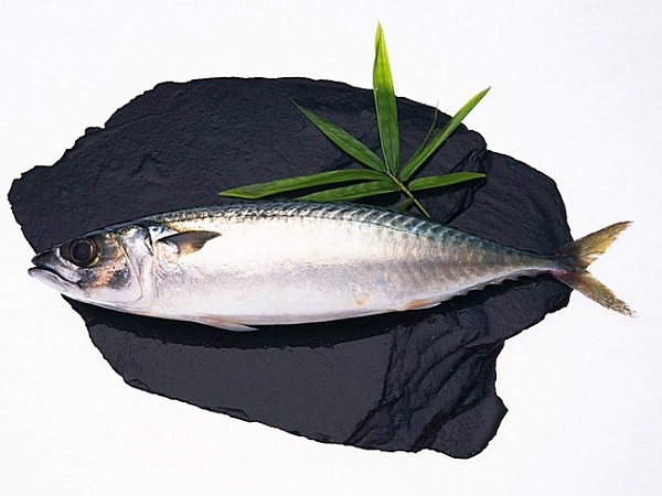 Mackerel