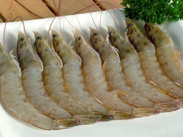 Vanamei Shrimp